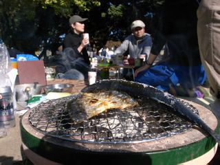 Bbq3